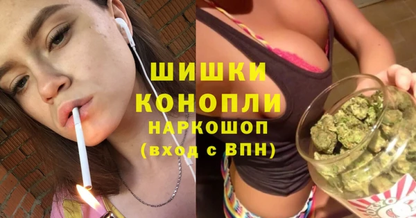 стафф Бронницы