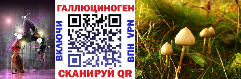 Галлюциногенные грибы мухоморы  Новосиль 